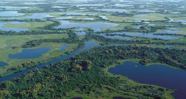 El Comité de Cuenca del Río Luján participó de un taller sobre humedales del delta bonaerense