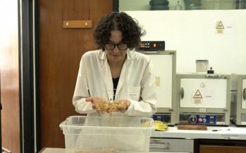 Dos investigaciones nacionales desarrollan materiales alternativos al plástico