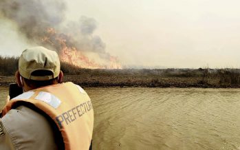 Detuvieron a tres personas acusadas de provocar incendios en el Delta