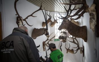 La Brigada de Control Ambiental decomisó productos de fauna silvestre en Vicente López