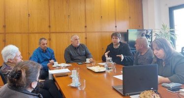 Tigre: se presentó un proyecto para terminar con la tracción a sangre