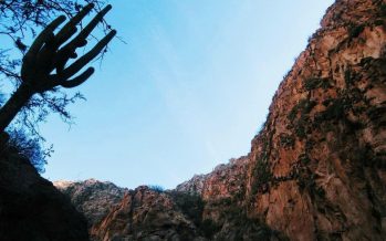 Día de la Pachamama: ¿qué es lo que se celebra?