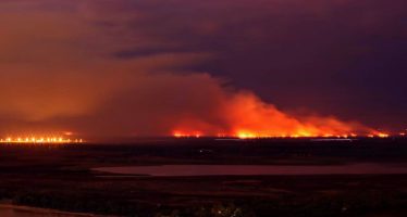 Continúan los incendios en el Delta del Paraná: ¿cuál es la situación y cómo debería intervenir la Justicia?