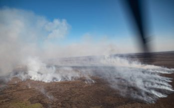 Entregaron a la Justicia los datos sobre los dueños de los predios incendiados