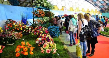 Comenzó la Fiesta Nacional de la Flor