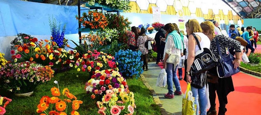 Comenzó la Fiesta Nacional de la Flor