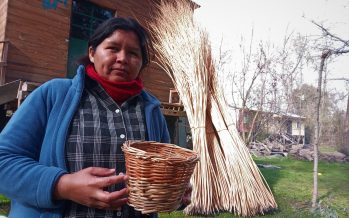 Celebran los primeros seis meses de cestería en el Arroyo Caraguatá