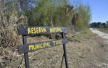 Fogón de fin de año en la reserva natural de Tigre