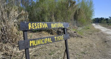 ¿Cuándo puede visitarse el predio en donde proponen hacer una Reserva Natural en Tigre?