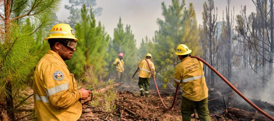 Incendios forestales en la Provincia: cuál es la situación