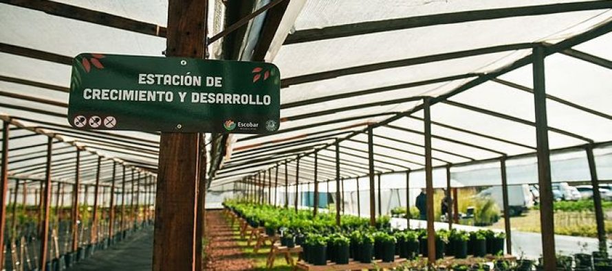 En lo que va del año los viveros de Escobar produjeron 9.300 plantas nativas de la ecorregión Delta