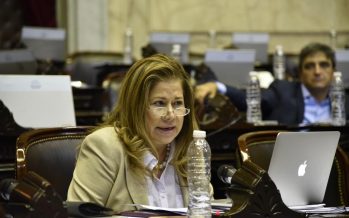 Camaño apuntó al “lobby de las mineras” por interrupción del debate sobre humedales en Diputados