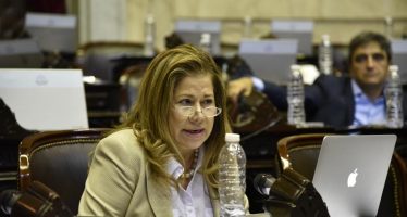 Camaño apuntó al “lobby de las mineras” por interrupción del debate sobre humedales en Diputados