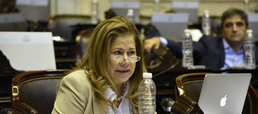 Camaño apuntó al “lobby de las mineras” por interrupción del debate sobre humedales en Diputados