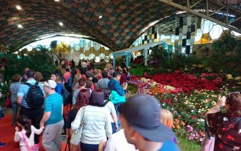 El Presidente visitó la Fiesta Nacional de la Flor y vio con estudiantes “Argentina, 1985”