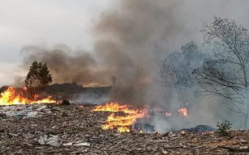 Escobar solicitó a la Justicia la detención de los responsables del daño ambiental en Maschwitz
