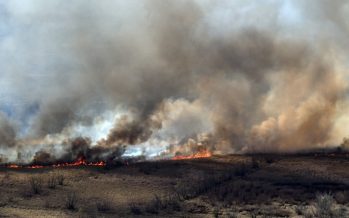 Incendios en el Delta: proponen cambiar el Código Penal para penar con más severidad a quienes inicien fuegos
