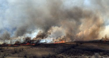 Incendios en el Delta: proponen cambiar el Código Penal para penar con más severidad a quienes inicien fuegos