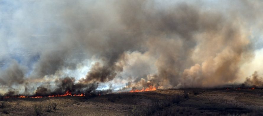 Incendios en el Delta: proponen cambiar el Código Penal para penar con más severidad a quienes inicien fuegos