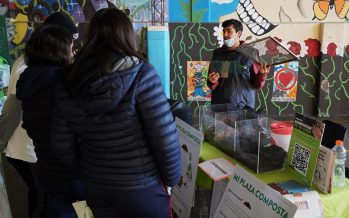 Comienza la inscripción para Escuelas Sustentables 2023