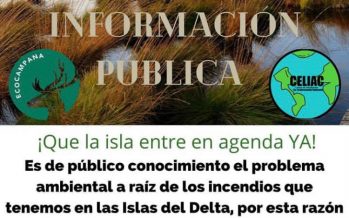 Tras los incendios, organizaciones ambientales de Campana realizan un pedido de información pública