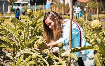 El programa “Escobar Sostenible” alcanzó el rango de subsecretaría