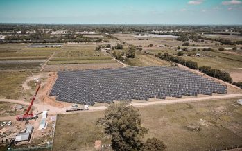 El Parque Solar de Escobar ya produce energía al 100% de su capacidad