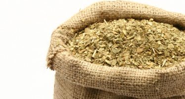 Descubren propiedades de la yerba mate que podrían ser preventivas del cáncer de próstata