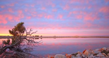 El 2022 llega a su fin con dos parques nacionales nuevos