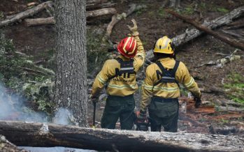 Ambiente lanza una diplomatura en manejo del fuego y cambio climático