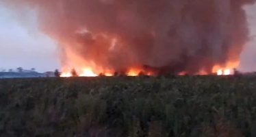 Combaten focos de incendio en el Parque Nacional Ciervo de los Pantanos