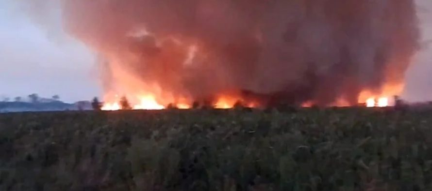 Combaten focos de incendio en el Parque Nacional Ciervo de los Pantanos