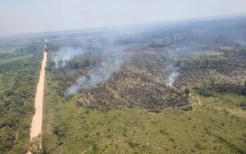 Se logró controlar el foco de incendio que quedaba en el Parque Nacional Ciervo de los Pantanos