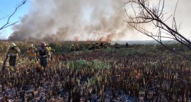Sigue activo el fuego en el Parque Nacional Ciervo de los Pantanos