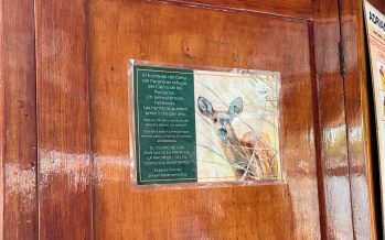 Proyecto Pantano presentó su campaña “Cuidemos la magia del Delta”