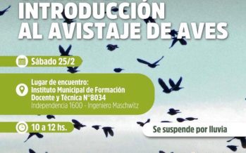 Talleres educativos en Escobar: Introducción al Avistaje de Aves y Plantas Medicinales