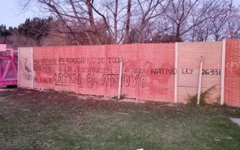 Julio Ceresa: “La obra del Arroyo Raggio va a arruinar la naturaleza”