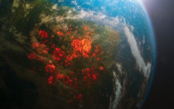 Ola de calor en Argentina: ¿Qué tiene que ver esto con el calentamiento global?