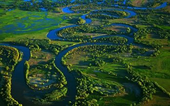 Hay que recuperar y regenerar los humedales, el hogar del 40% de toda la biodiversidad