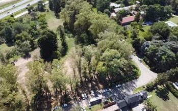 Loma Verde: el Municipio relevó la cantidad de árboles para su preservación y multiplicación