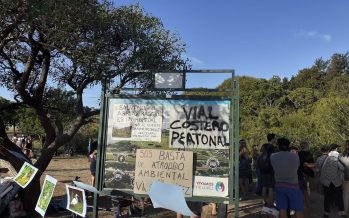 Vecinos de Vicente López denuncian que gobierno porteño podría dañar el ecosistema de humedales