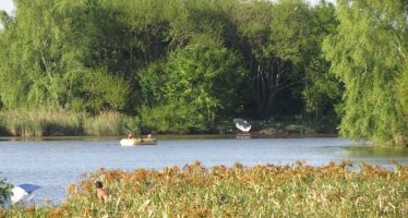 Actividad en la Isla Martin García por el Día de los Humedales