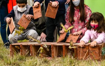 Día de la Educación Ambiental: el programa de la Fundación Temaikèn que trabajó sobre nuestro Delta