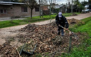 “Escobar + limpio”: campaña de recolección de residuos de poda con participación de los vecinos