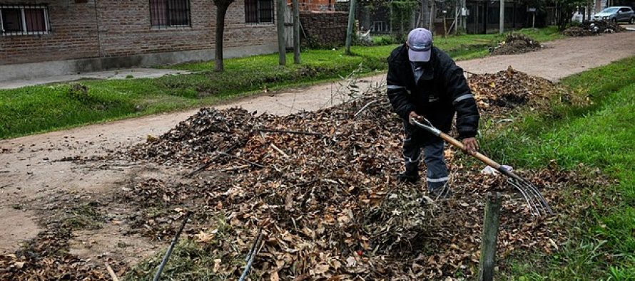 “Escobar + limpio”: campaña de recolección de residuos de poda con participación de los vecinos