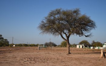 Ambiente lanzó un relevamiento de buenas prácticas para el manejo sostenible de tierras