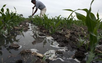 Contaminación por plomo: Sudamérica entre las regiones con mayor nivel de intoxicación