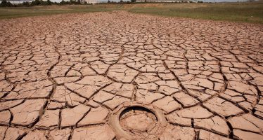 Sequía y calor extremo: ¿es el cambio climático?