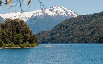 Comenzó el curso del Ministerio de Ambiente sobre biodiversidad para gestoras y gestores ambientales