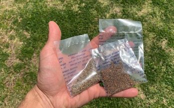 Escobar Sostenible: se encuentran disponibles los kits de semillas de la temporada otoño-invierno